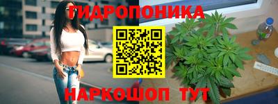 гидра Северобайкальск
